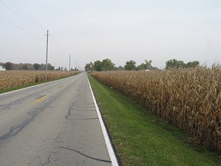 Property photo 3 - 40 Acres offered in 1 TractLand Auction